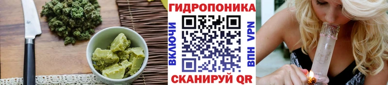 дарнет шоп  Соликамск  Cannafood конопля 